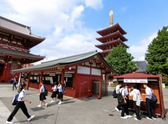 おみくじが気になる年頃