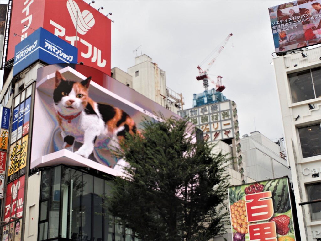 とりあえず新宿