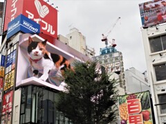 とりあえず新宿