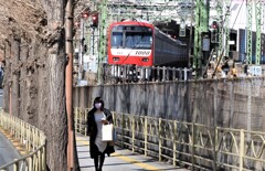 望遠効果が生かせる舗道