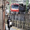 望遠効果が生かせる舗道
