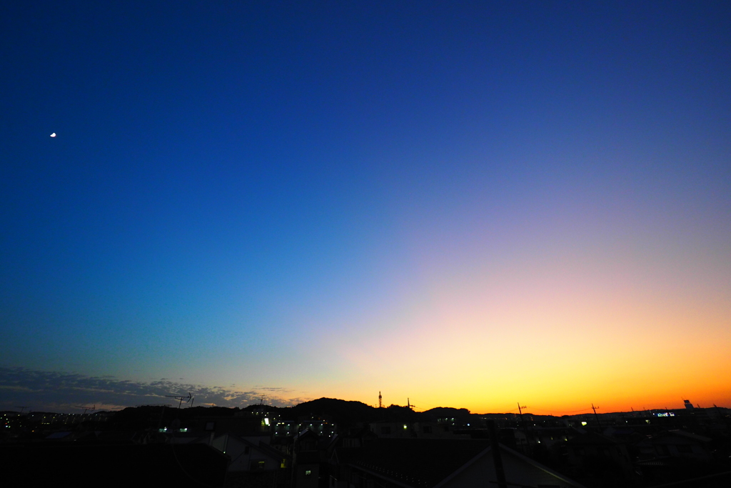 今日も見れました　(^-^;