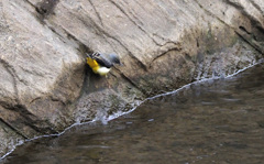 慎重に脚を延ばして…