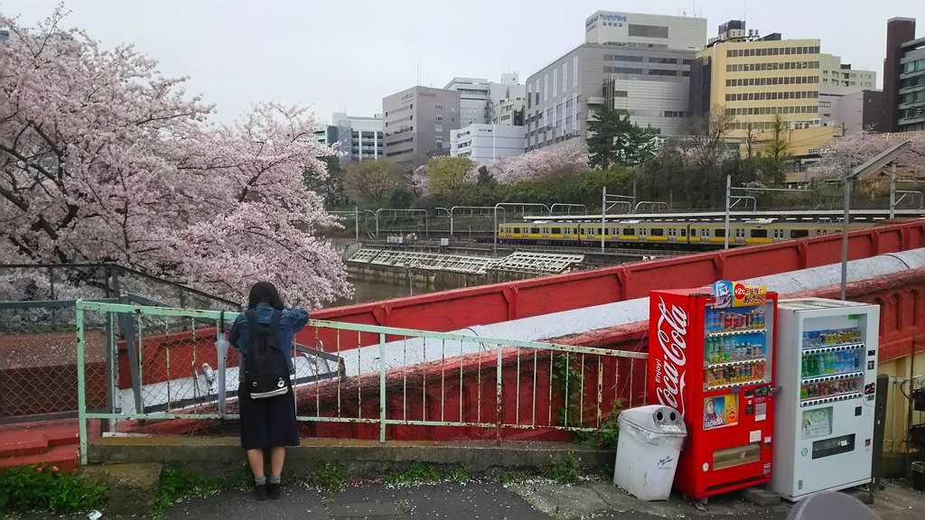 田舎の娘
