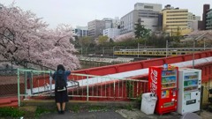 田舎の娘