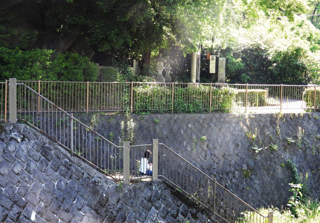 夕暮れだったら