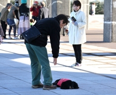 もう歩きたくないよ！