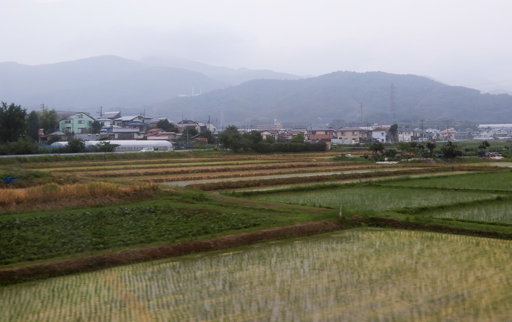 快速急行江ノ島行で