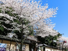 靖国神社南門前