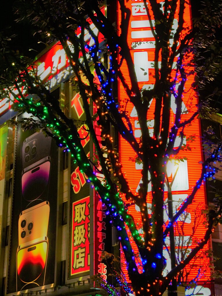 イルミネーション