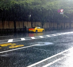 遣らずの豪雨