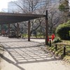 うららかな日より