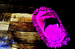 ゾウリムシ