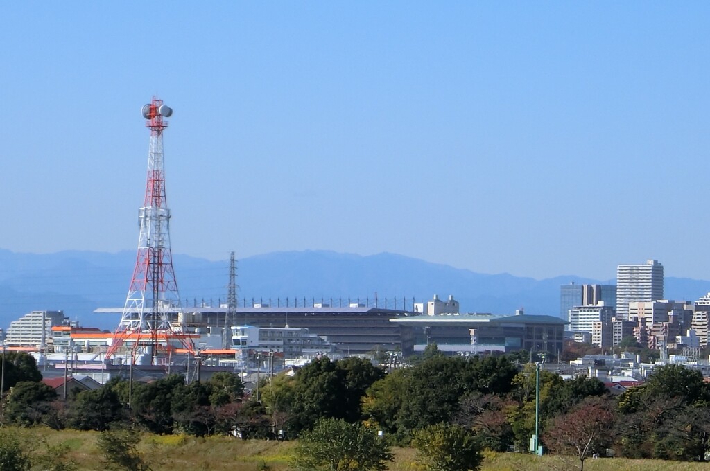 東京競馬場