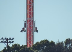 絶叫日和