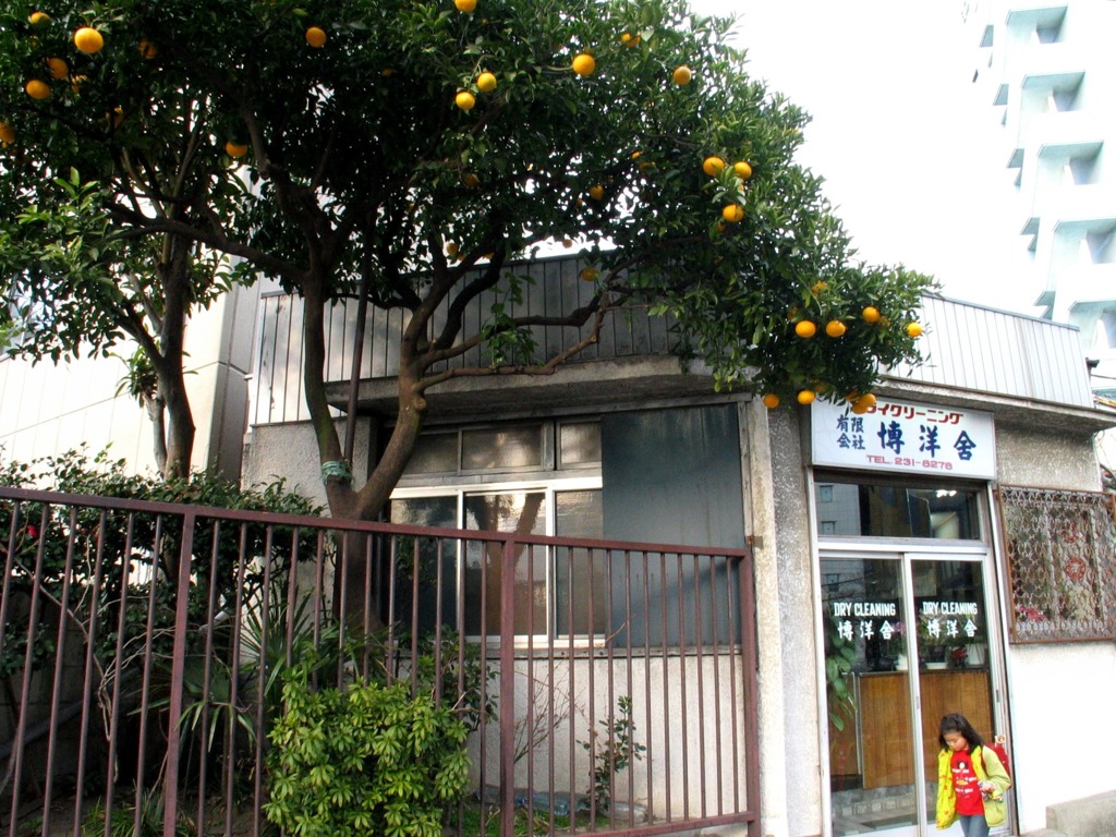 野毛 2003年