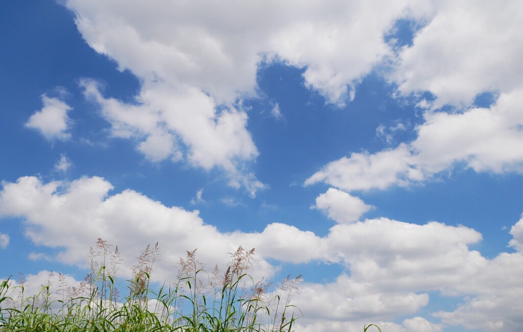 シャープなレンズ