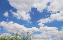 シャープなレンズ