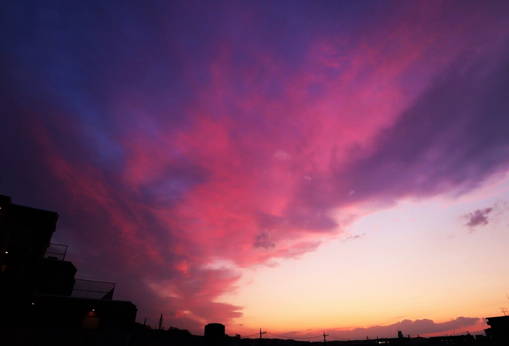 パンデミックな夕焼け