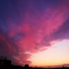 パンデミックな夕焼け