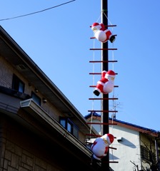 多摩川河畔　冬の散歩道