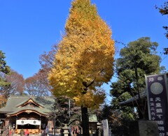 布多天神社