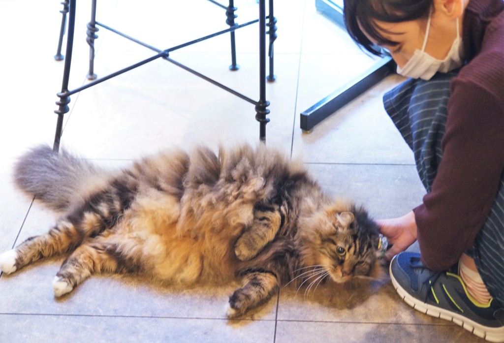 店長代理はひよこちゃんと大の仲良し