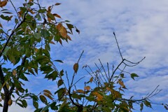 オートHDR露出差3.0EV