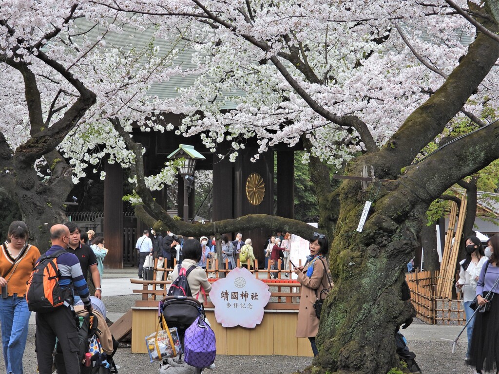 靖国神社は外国人観光客だらけ