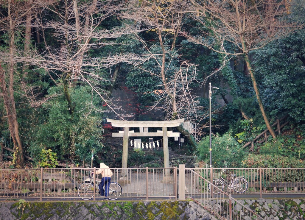 晩秋の風景に