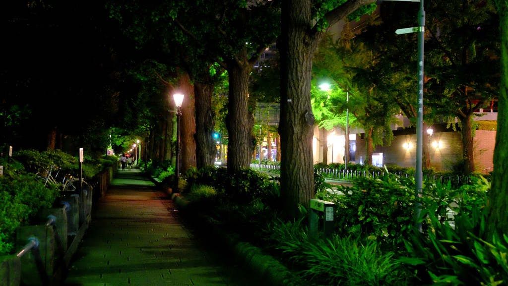 夜の彩