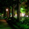 夜の彩