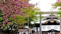 靖国神社の八重桜