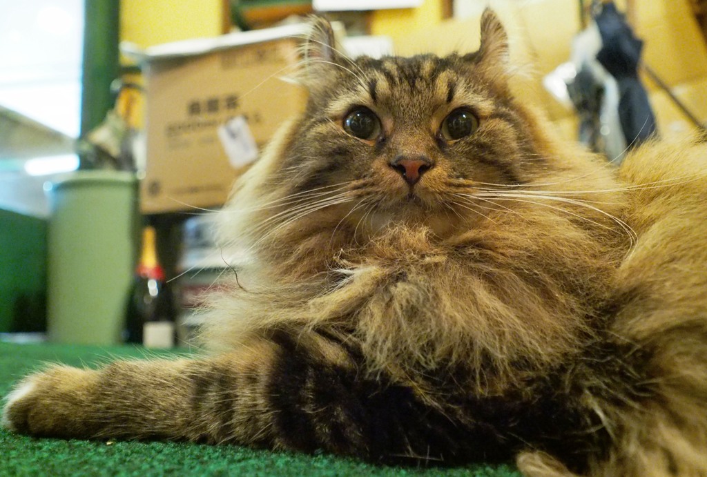 大脱走直前