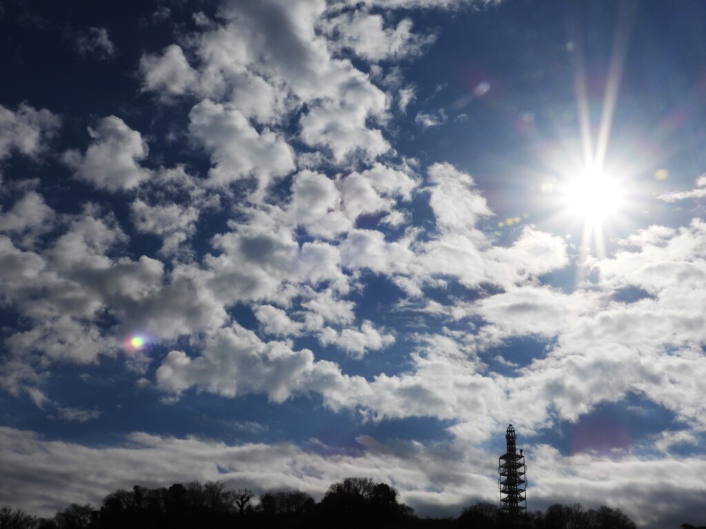 風の向くまま