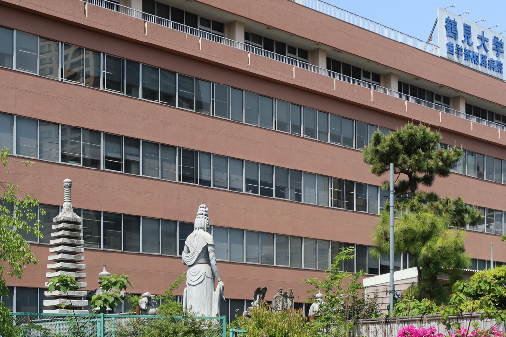 観音様のおわす大学