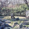 チーターの庭