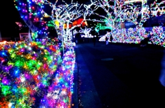 よみうりランド“ジェルミネーション”　１２