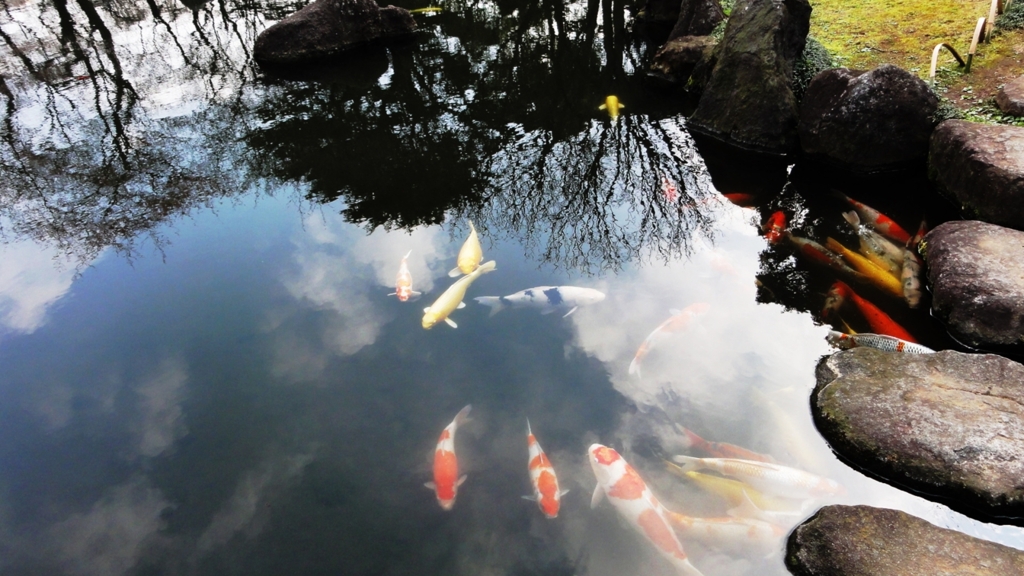 靖国神社の神池