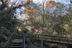 生田緑地