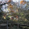 生田緑地