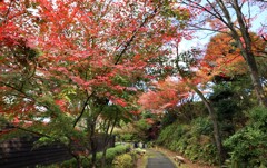 おすすめの来園コース