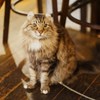やっとこっち向いてくれた