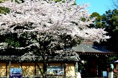 靖国神社