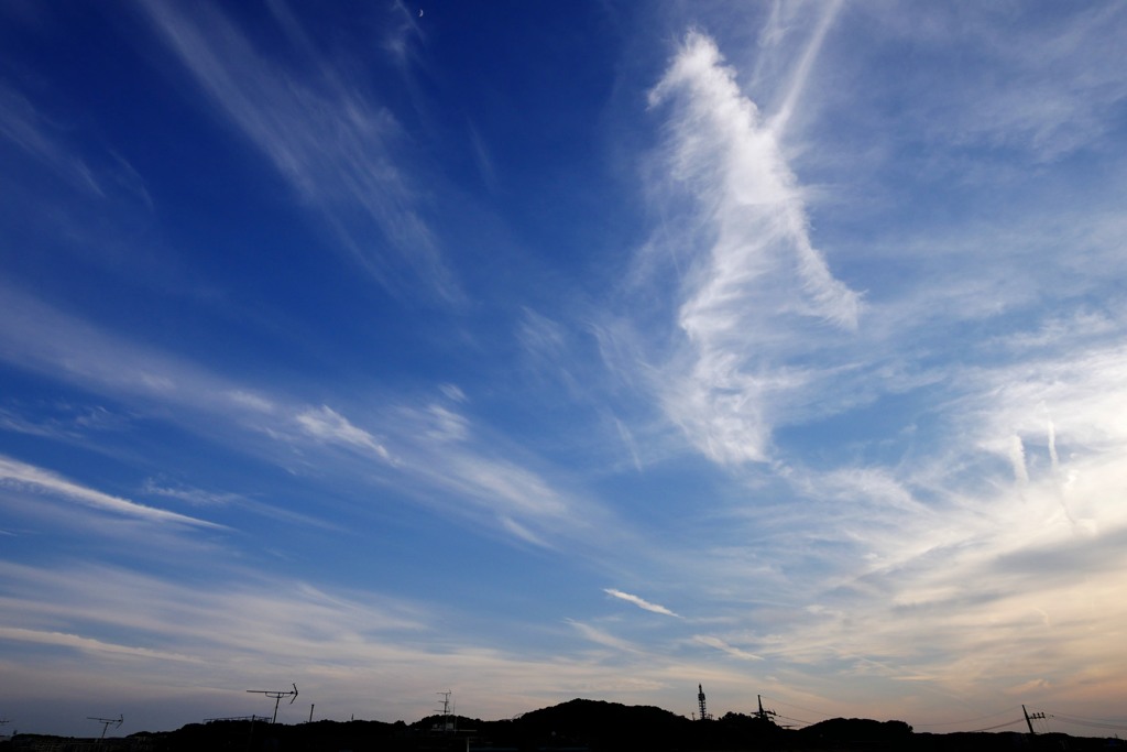 梅雨の合間の快晴