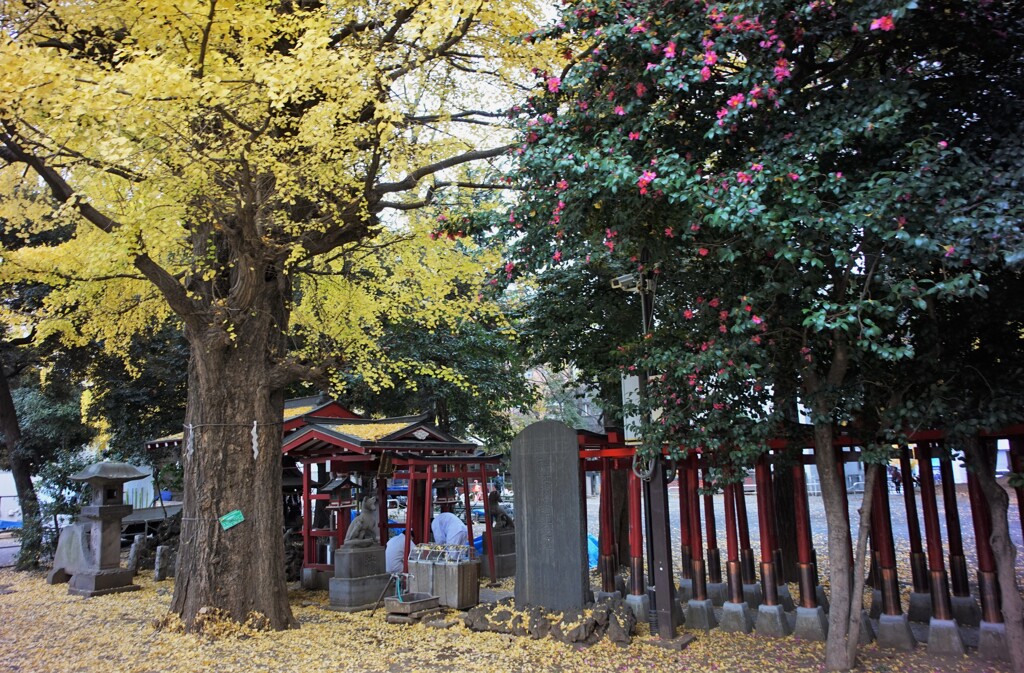 女性に人気の威徳稲荷神社