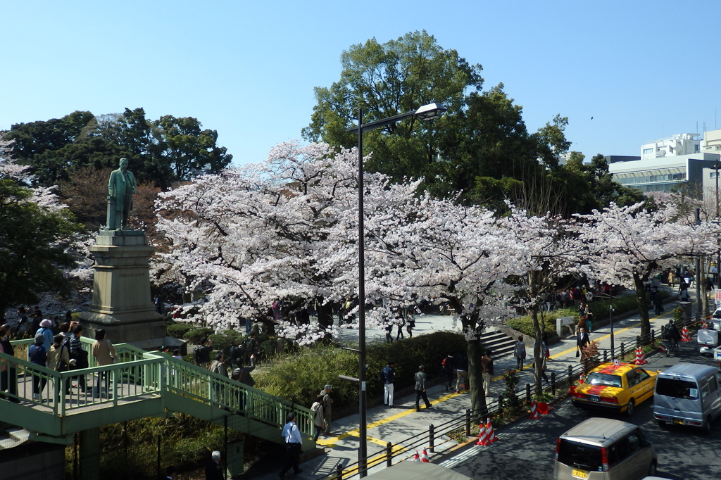 お花見渋滞