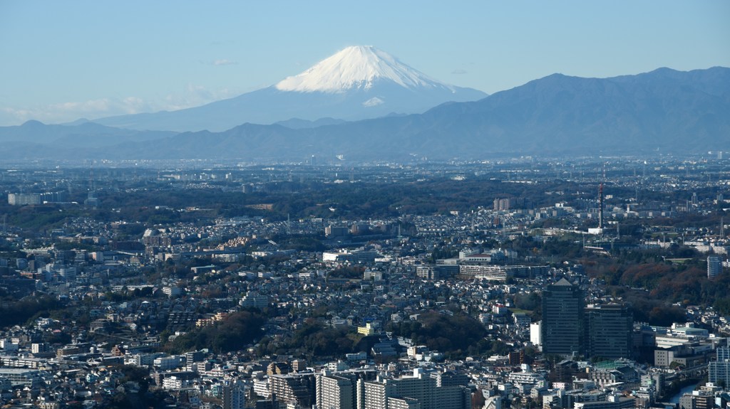 見ごろの富士山