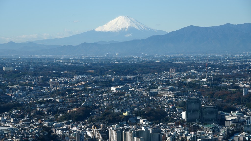 見ごろの富士山