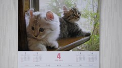 カフェ「ディー・カッツェ」オリジナルカレンダー4月